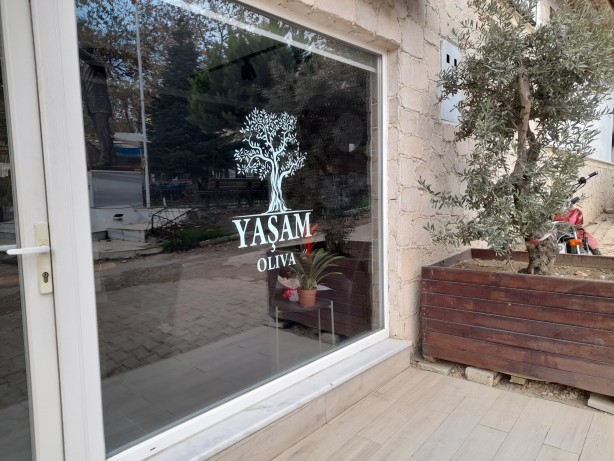 Foto - Türkiye'ye zeytinyağı müjdesi! Müthiş haber az önce verildi