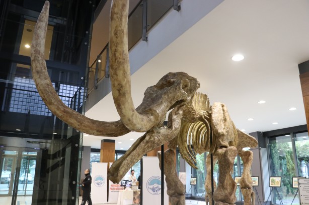 Foto - Türkiye'yi ayağa kaldıracak sergi: Görenler dehşete düşecek! Büyük dev hizmet, Memduh Başkan'dan...