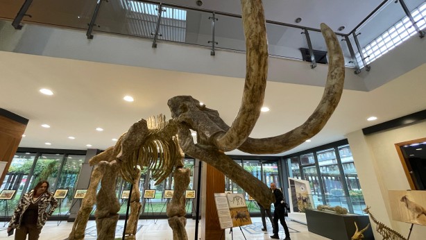 Foto - Türkiye'yi ayağa kaldıracak sergi: Görenler dehşete düşecek! Büyük dev hizmet, Memduh Başkan'dan...