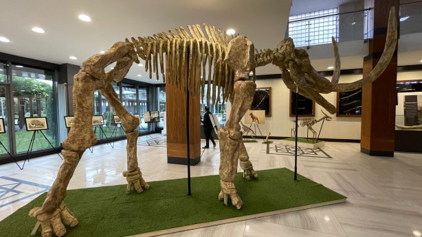 Foto - Türkiye'yi ayağa kaldıracak sergi: Görenler dehşete düşecek! Büyük dev hizmet, Memduh Başkan'dan...