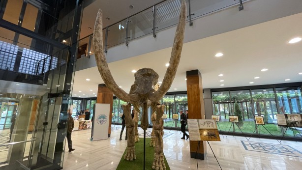 Foto - Türkiye'yi ayağa kaldıracak sergi: Görenler dehşete düşecek! Büyük dev hizmet, Memduh Başkan'dan...