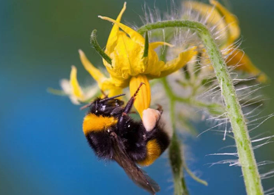 Foto - Türkiye'yi bir felaket bekliyor olabilir! Çin'den binlerce 'samuray' getirildi, 17 ilimizde görevlendirildiler