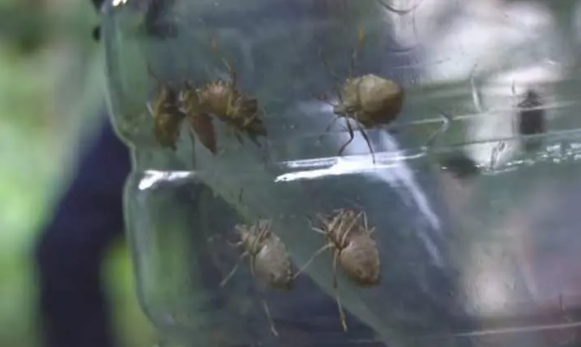 Foto - Türkiye'yi bir felaket bekliyor olabilir! Çin'den binlerce 'samuray' getirildi, 17 ilimizde görevlendirildiler