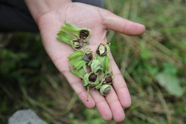 Foto - Türkiye'yi bir felaket bekliyor olabilir! Çin'den binlerce 'samuray' getirildi, 17 ilimizde görevlendirildiler
