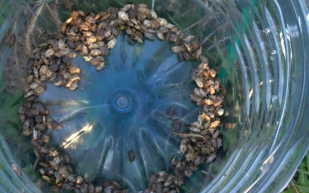 Foto - Türkiye'yi bir felaket bekliyor olabilir! Çin'den binlerce 'samuray' getirildi, 17 ilimizde görevlendirildiler