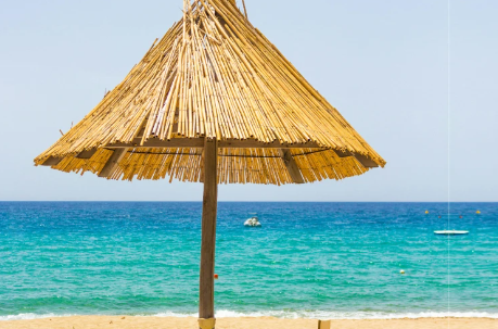 Foto - Türkiye'yi sarsan iflas! Dev şirket battı, olan maalesef bizim şirketlere oldu