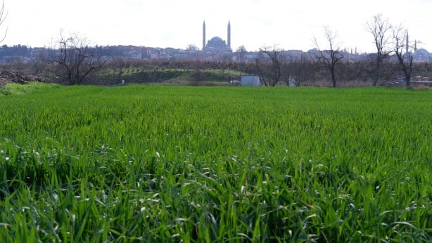 Türkiye'yi tedirgin eden görüntü! Bölge halkı kara kara düşünmeye başladı