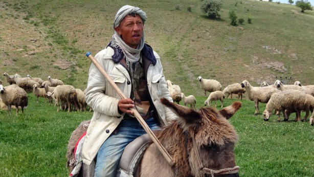 Foto - Türkler beğenmeyince 16 bin lira maaşlı iş Afganlara kaldı! Sadece onlar çalışıyor