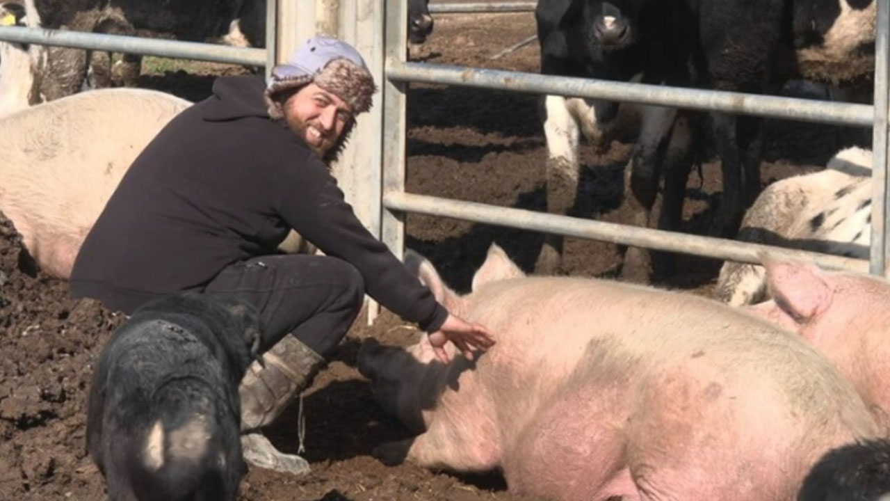Türkler domuz eti mi yiyor? Ortalığı karıştıracak itiraf