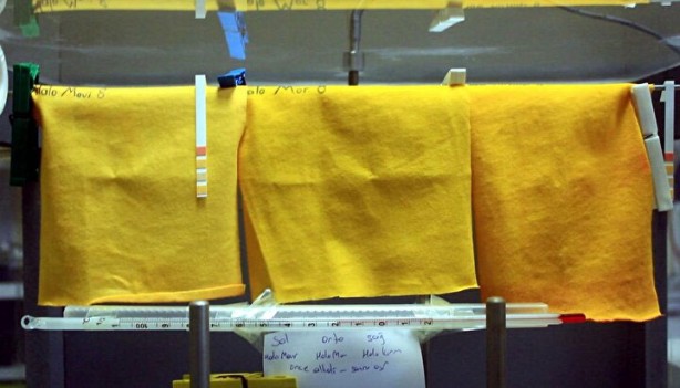 Foto - Türklerden müthiş buluş! Böylesi ilk kez oluyor, tehlike olduğunda bakın ne olacak