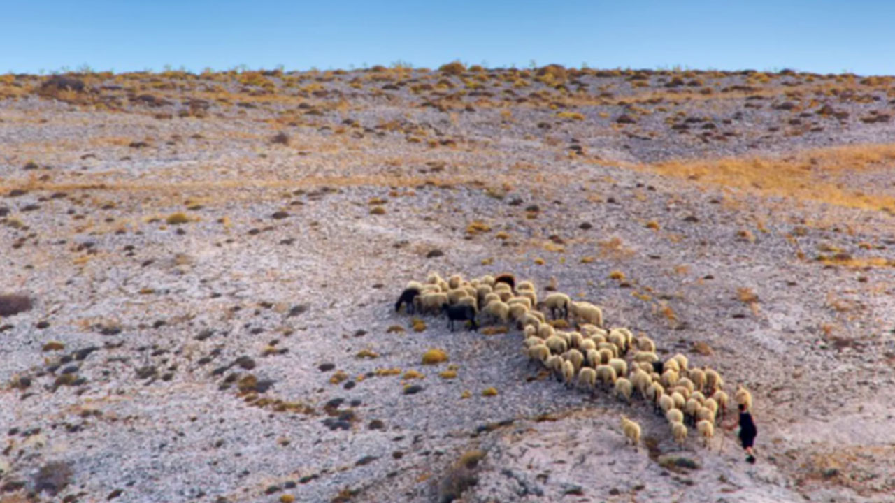 Foto - Türklerden su satın alalım artık başka çaremiz kalmadı