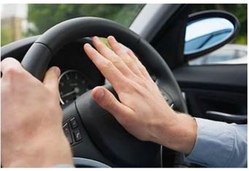 Foto - Türklere has ilginç özellikler