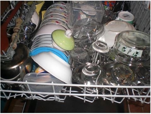 Foto - Türklere has ilginç özellikler