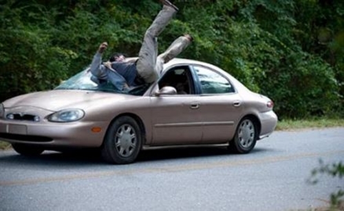 Foto - Türklere has ilginç özellikler