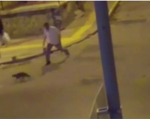 Foto - Türklere has ilginç özellikler