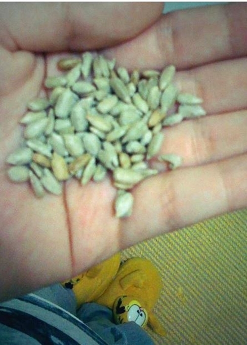 Foto - Türklere has ilginç özellikler