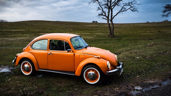 Foto - Türklere özgü sıra dışı davranışlar