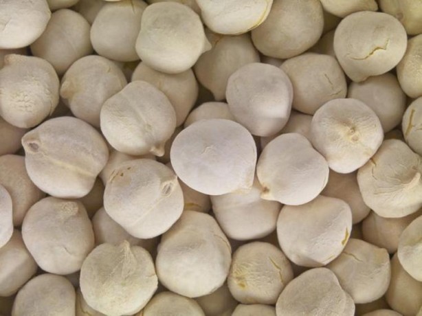 Foto - Türklerin beyaz altını! Damarlarda yağ bırakmıyor, kolesterolü düşürüyor