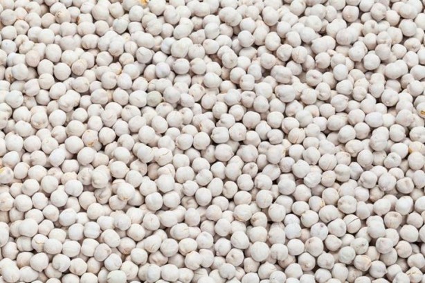 Foto - Türklerin beyaz altını! Damarlarda yağ bırakmıyor, kolesterolü düşürüyor