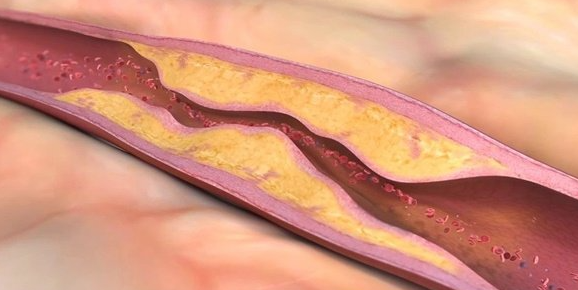 Foto - Türklerin beyaz altını! İşte o besin