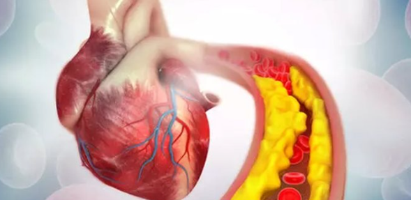 Türklerin beyaz altını! İşte o besin