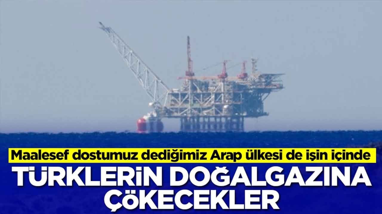 Türklerin doğalgazını çalacaklar: Maalesef dostumuz dediğimiz Arap ülkesi de işin içinde