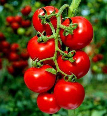 Foto - Türklerin en çok tükettiği gıdalar