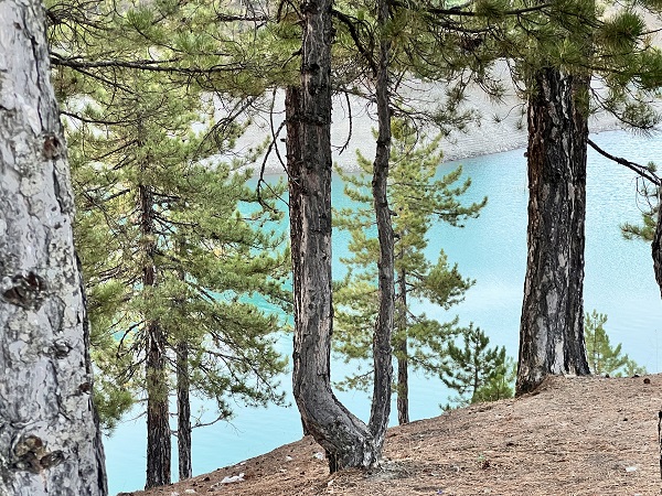 Foto - Turkuaz rengiyle hayran bırakan gölet: Değirmendere