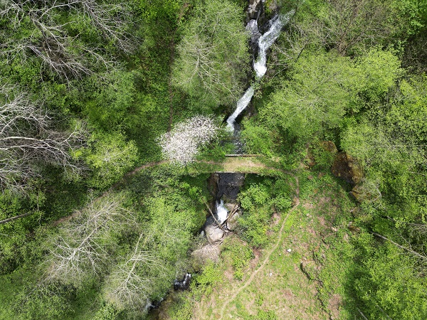 Foto - Türkülere konu olan doğa güzelliği: Ağasar Deresi