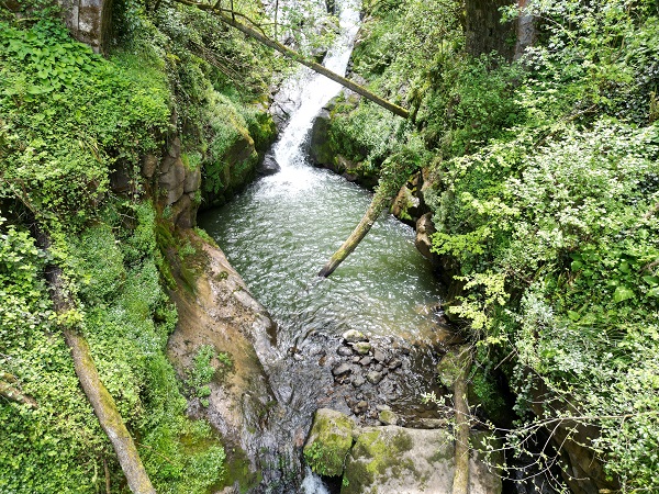 Foto - Türkülere konu olan doğa güzelliği: Ağasar Deresi