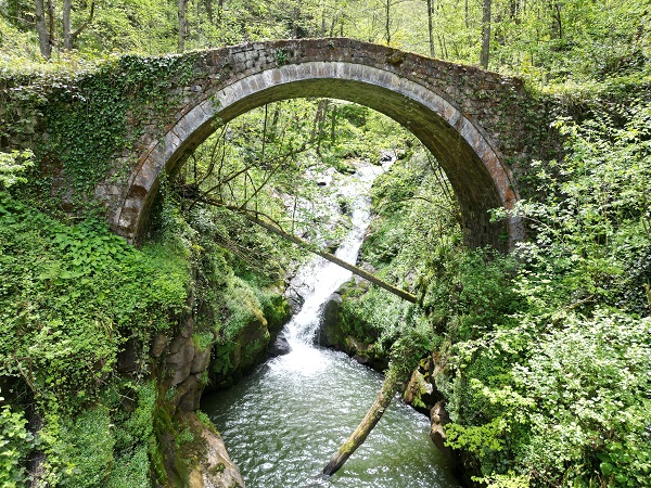 Foto - Türkülere konu olan doğa güzelliği: Ağasar Deresi