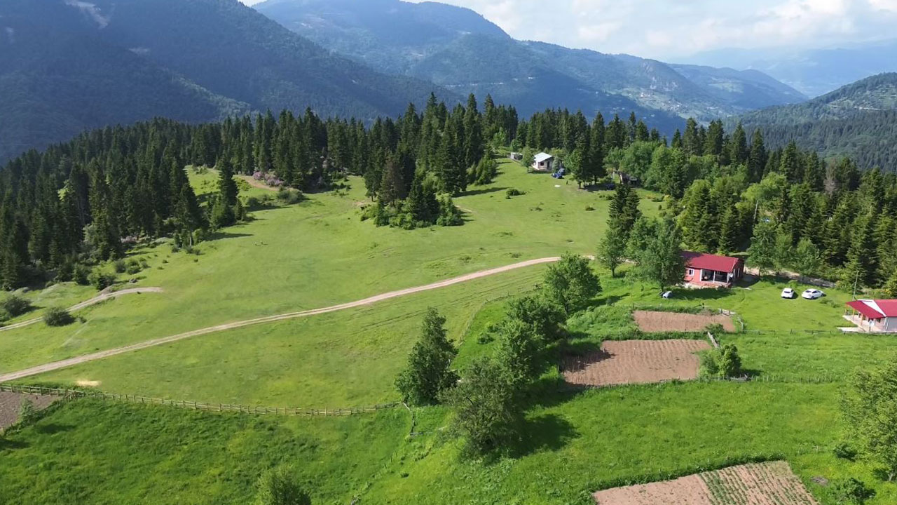 Foto - Türkülerle yaylaya! Doğu Karadeniz’de yüzyıllık göç geleneği sürüyor
