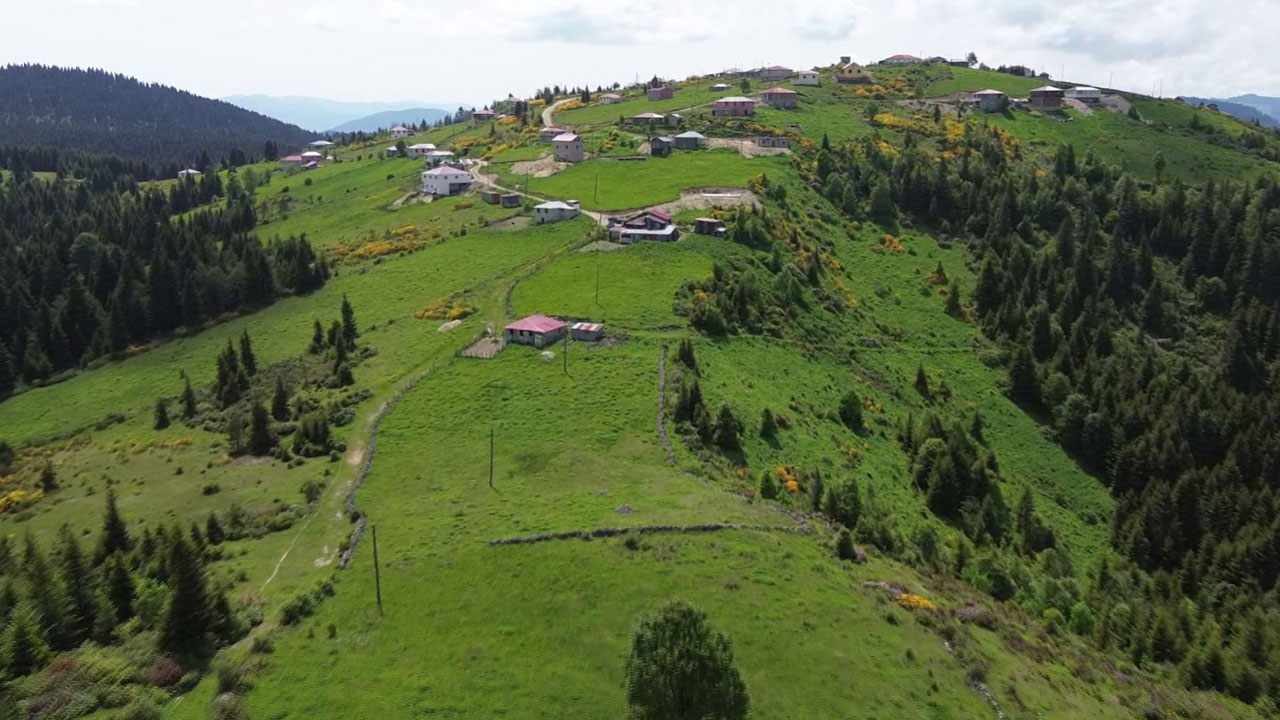 Türkülerle yaylaya! Doğu Karadeniz’de yüzyıllık göç geleneği sürüyor