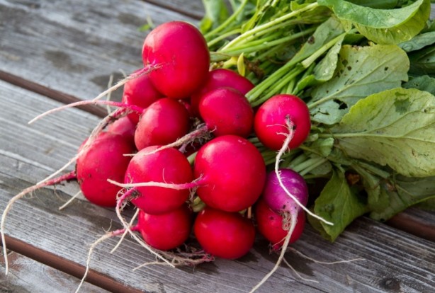 Foto - 'Turp gibi' deyimi boşa değil!