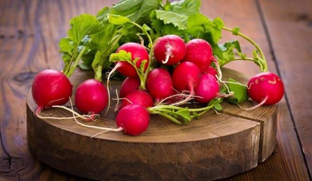 Foto - 'Turp gibi' deyimi boşa değil!