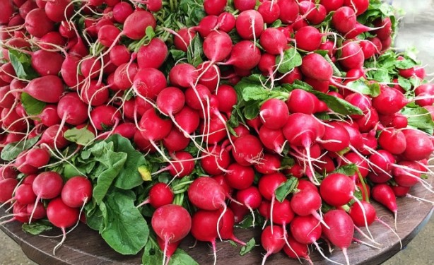 Foto - 'Turp gibi' deyimi boşa değil!