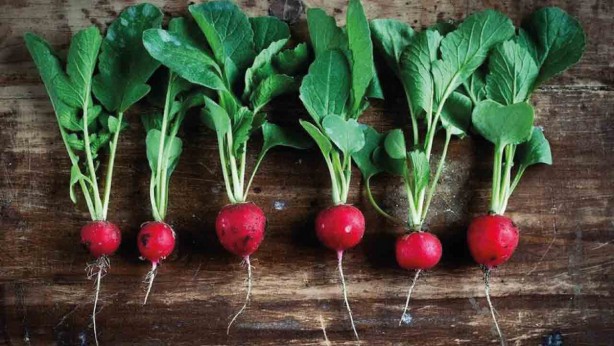 Foto - 'Turp gibi' deyimi boşa değil!