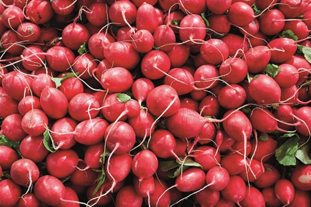 Foto - 'Turp gibi' deyimi boşa değil!