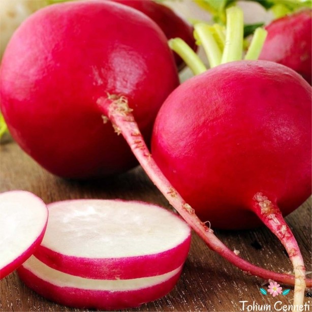 Foto - 'Turp gibi' deyimi boşa değil!