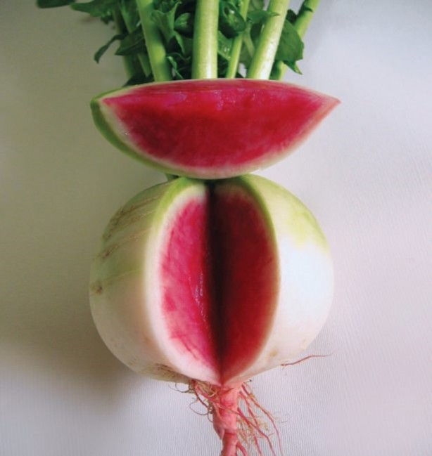 Foto - Turp nasıl tüketilmeli?