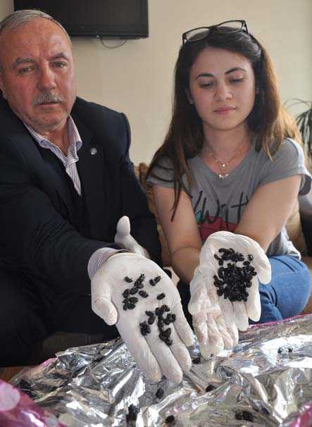 Foto - Türünü kimse bilmiyor! 