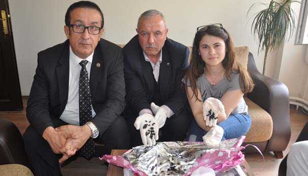 Foto - Türünü kimse bilmiyor! 