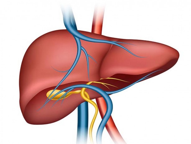 Foto - Tütün kadar zehirli: güzel enerji veriyor diye soda içiyoruz ama enerji tüketimi ve harcamasında dengesizliğe yol açıyor