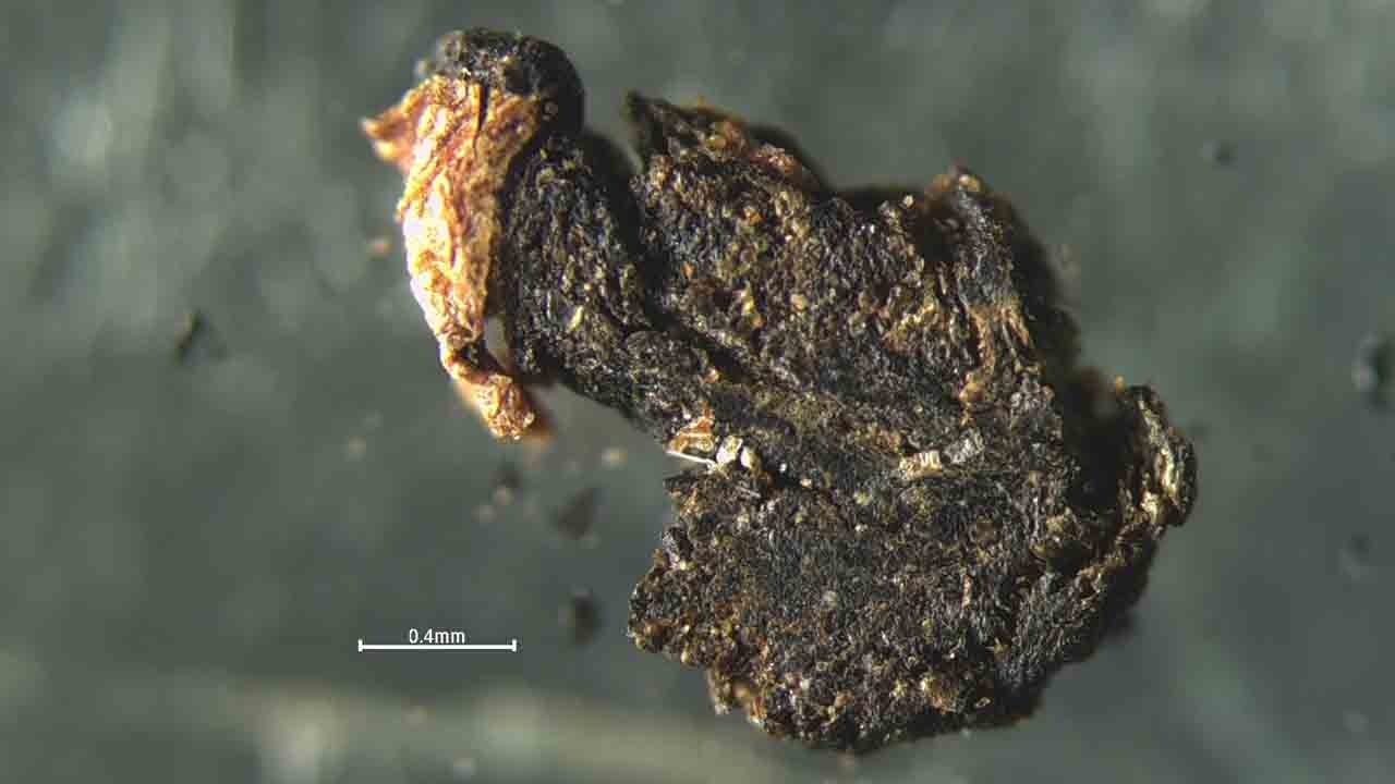 Foto - Tütünün yanında bakın ne içiyorsunuz!: Sigaralardan mikroplastik fışkırdı