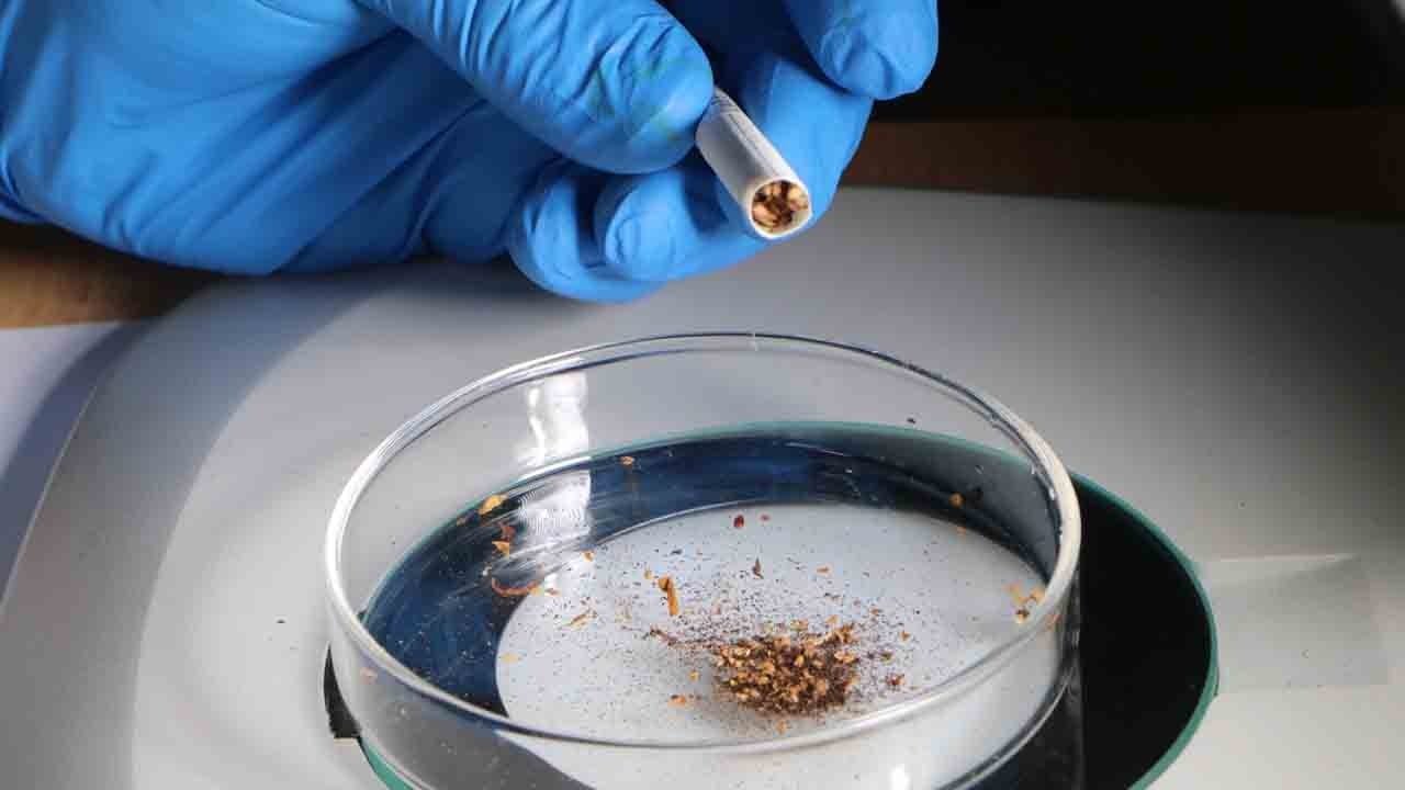 Foto - Tütünün yanında bakın ne içiyorsunuz!: Sigaralardan mikroplastik fışkırdı