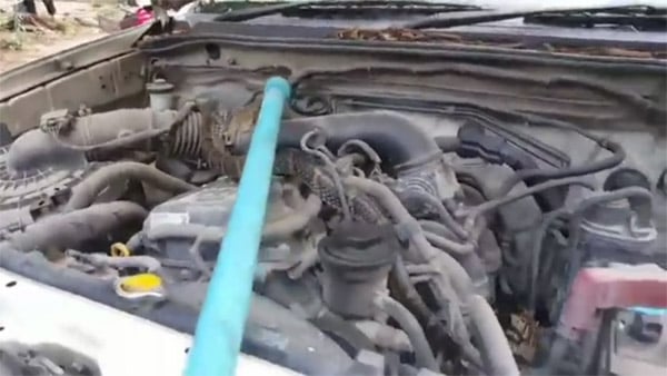 Foto - Tüyler ürperten olay! Araçtan kobra yılanı çıktı