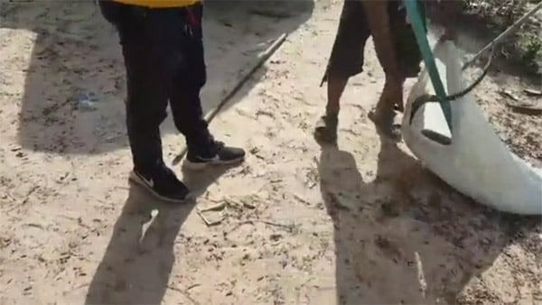 Foto - Tüyler ürperten olay! Araçtan kobra yılanı çıktı