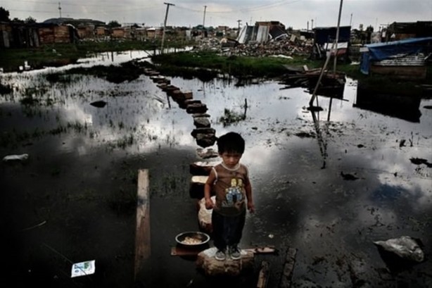 Foto - Tüyler ürperten yaşam