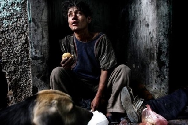 Foto - Tüyler ürperten yaşam