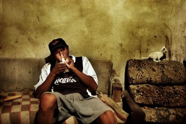 Foto - Tüyler ürperten yaşam